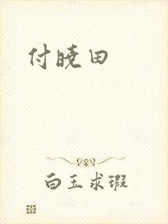 付晓田