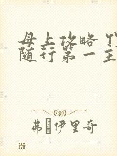 母上攻略 竹影随行第一主板