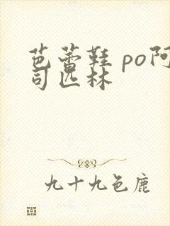 芭蕾鞋 po阿司匹林