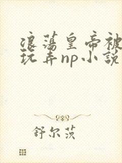 浪荡皇帝被多人玩弄np小说封面