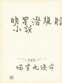 明星潜规则之皇 小说