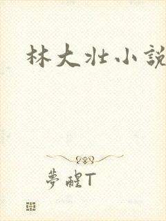 林大壮小说阅读封面