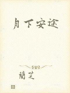 月下安途
