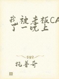 我被老板CAO了一晚上