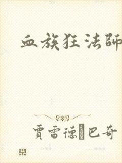 血族狂法师封面