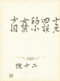 少女的四十九天囚禁小说免费阅读封面