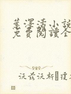 叶泽涛小说全文免费阅读全文