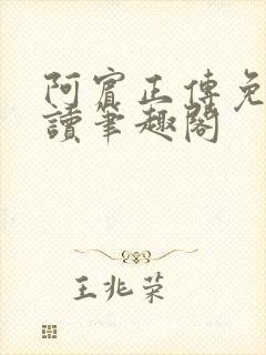 阿宾正传免费阅读笔趣阁封面