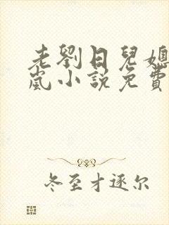 老刘日儿媳妇张岚小说免费阅读