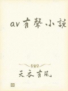 av有声小说封面