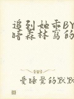 追到她乖BY黑暗森林写的小说