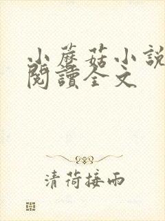 小蘑菇小说免费阅读全文