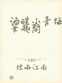 酒酿小青梅po笔趣阁