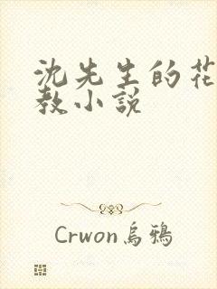 沈先生的花式管教小说