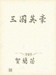 三国英豪封面