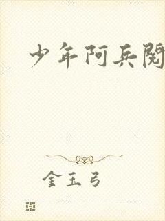少年阿兵阅读