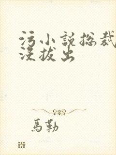 污小说总裁整夜没拔出