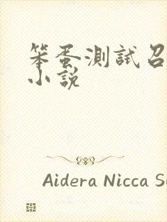 笨蛋测试召唤兽小说