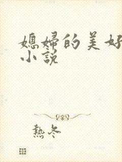 媳妇的美好时代小说