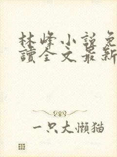 林峰小说免费阅读全文最新章节封面