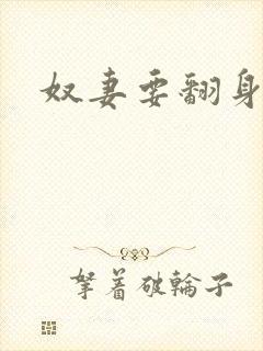 奴妻要翻身封面