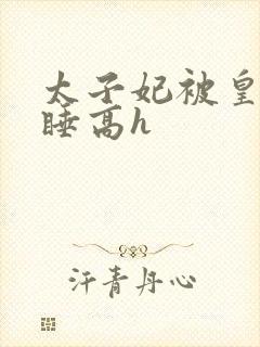 太子妃被皇上强睡高h