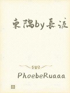 东隅by长流流封面