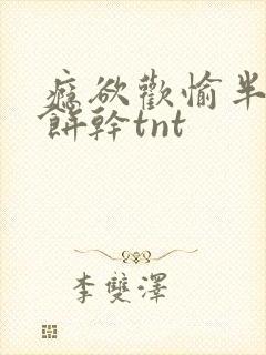 瘾欲欢愉半块小饼干tnt