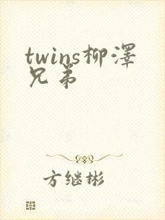 twins柳泽兄弟