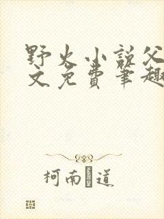 野火小说父女全文免费笔趣阁