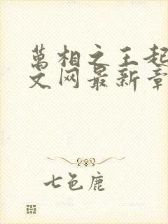 万相之王起点中文网最新章节