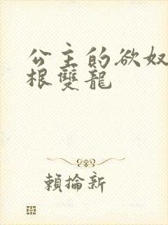 公主的欲奴h四根双龙