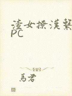 渣女撩汉系统NPC