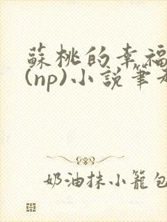 苏桃的幸福生活(np)小说笔趣阁封面