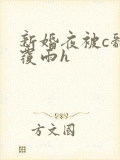新婚夜被c翻云覆雨h