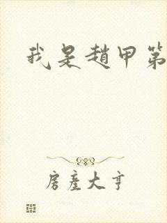 我是赵甲第小说