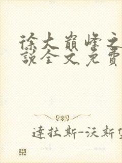 徐大巅峰之路小说全文免费阅读封面