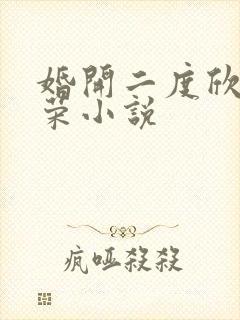 婚开二度欣欣向荣小说