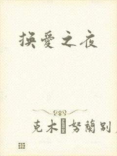 换爱之夜