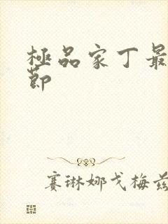 极品家丁最新章节