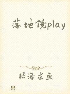 落地镜play