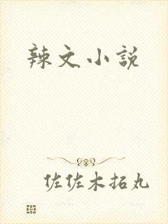 辣文小说