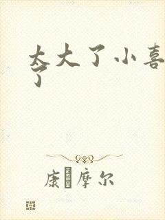 太大了小喜涨死了封面