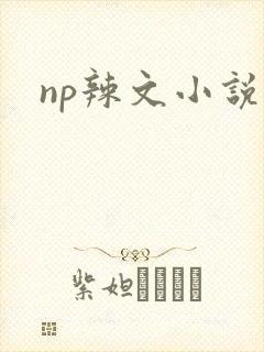 np辣文小说