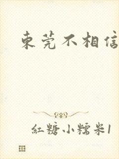 东莞不相信眼泪