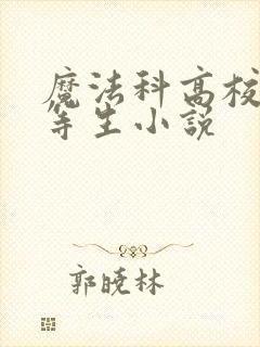 魔法科高校的劣等生小说