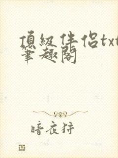 顶级伴侣txt笔趣阁