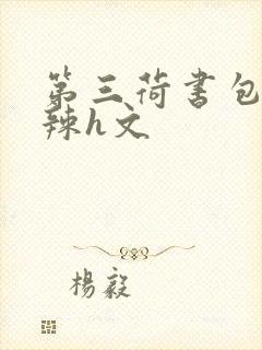 第三荷书包网高辣h文