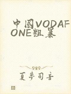 中国VODAFONE粗暴