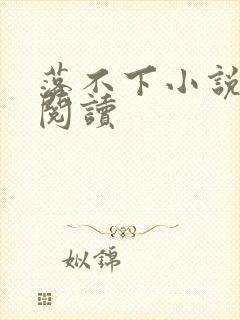 落不下小说免费阅读